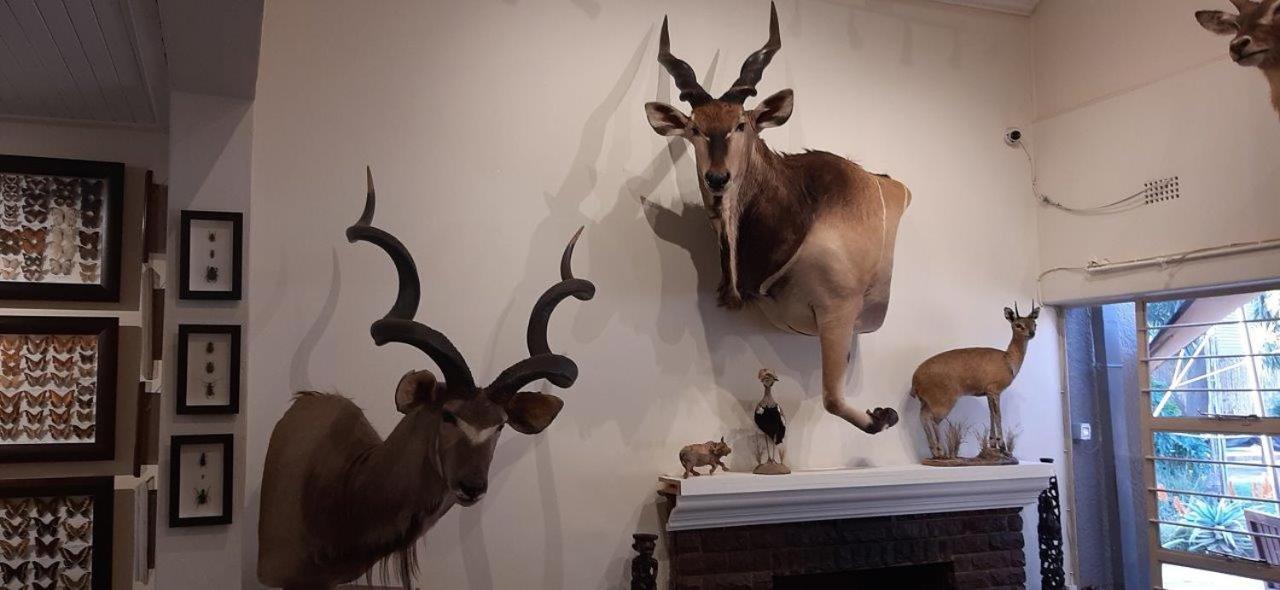 Afton Safari Lodge 켐턴파크 외부 사진